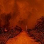 Bombeiros de Mato Grosso controlam incêndios em região de fazendas do Pantanal