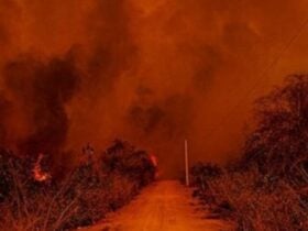 Bombeiros de Mato Grosso controlam incêndios em região de fazendas do Pantanal