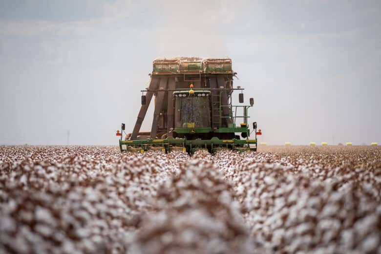 O setor que apresentou o maior crescimento no segundo trimestre deste ano foi a agropecuária com 18,9%              Crédito - Christiano Antonucci/Secom-MT