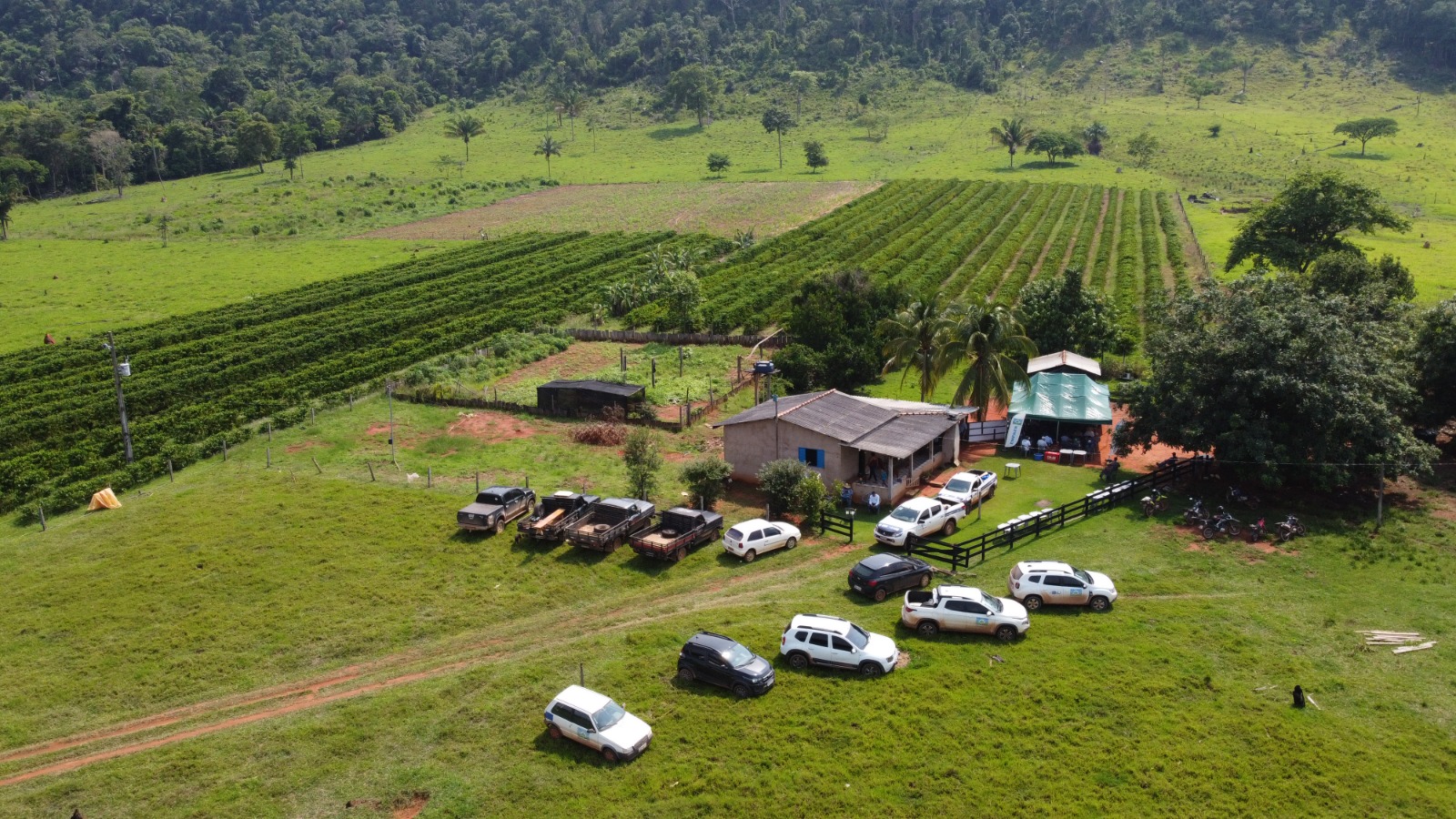 em dia de campo de cafe da empaer produtores apresentam evolucao da cultura desde o plantio ate a colheita interna 1 2023 11 01 498530762