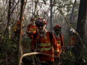 Balanço: Corpo de Bombeiros segue no combate a 21 incêndios florestais em Mato Grosso nesta quinta-feira (17)