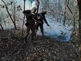 Após identificar origem de incêndios no Pantanal de MT e MS, Polícia Federal investiga possíveis culpados