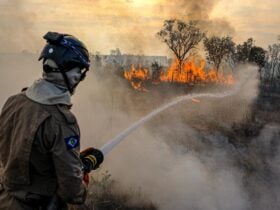 Mato Grosso enfrenta a pior seca nos últimos 44 anos