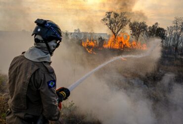 Mato Grosso enfrenta a pior seca nos últimos 44 anos