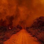 Pantanal em chamas: junho de 2024 marcou recorde histórico de queimadas em Mato Grosso e Mato Grosso do Sul