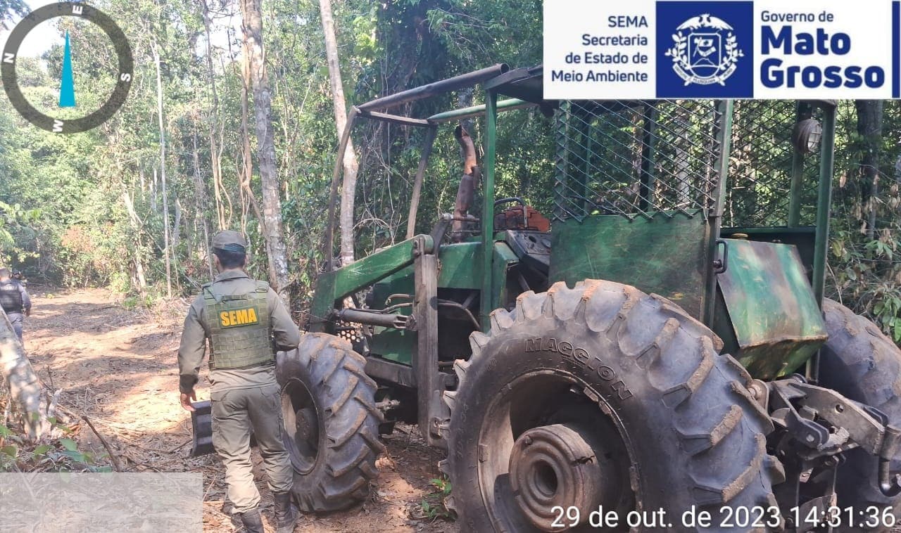 sema mt apreende madeira ilegal e aplica multa de r 12 milhao durante fiscalizacao no interior de mt interna 1 2023 11 03 1699368438