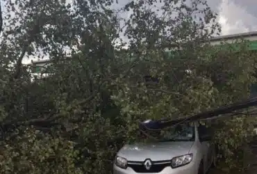 Chuva e forte ventania causam estragos em Cuiabá