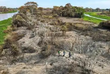 Mato Grosso enfrenta grave crise de incêndios florestais