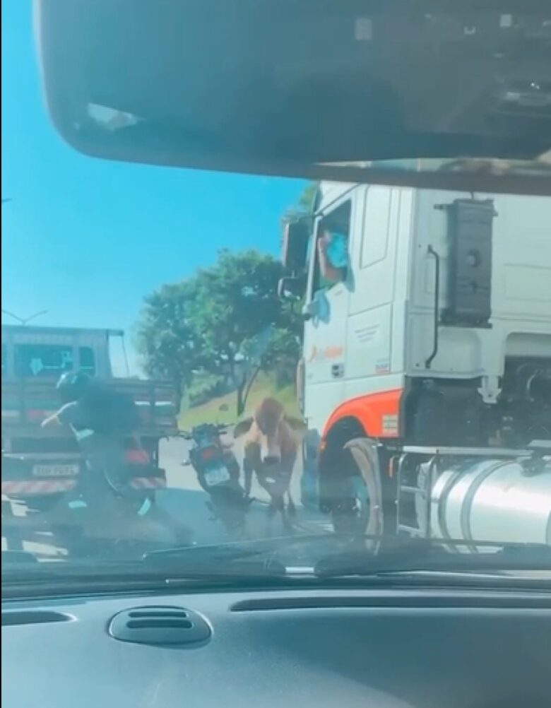 Os motociclistas, com as suas roupas brilhantes e o som dos motores, podem ser interpretados pelos touros como uma ameaça.