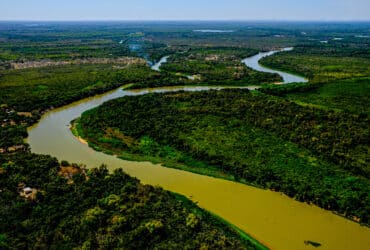Incêndios no Pantanal crescem 974% em 2024 e Mato Grosso está entre os estados mais afetados