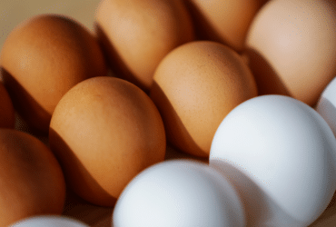 Brasil obtém acordo de “pre-listing” com Chile para exportação de ovos