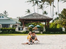 casal jovem elegante e hippie apaixonado andando e brincando com um cachorro em uma praia tropical