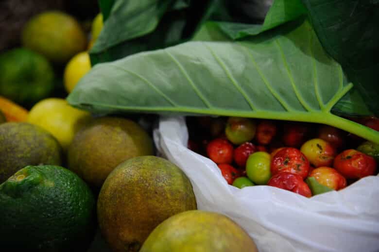 Conferência Green Rio 2015 Por: Arquivo/Fernando Frazão/Agência Brasil