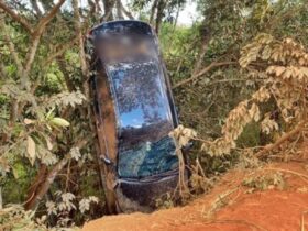 Carro capota e fica preso em árvores na MT-560 em Sorriso