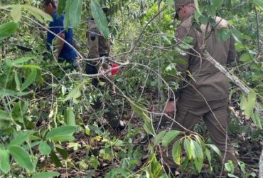 Bombeiros resgatam homens que saíram para pegar pequi em região de mata