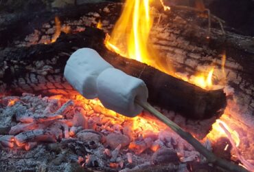 Receita de marshmallow