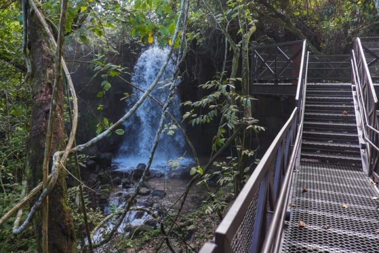 Salgadeira Cuiaba