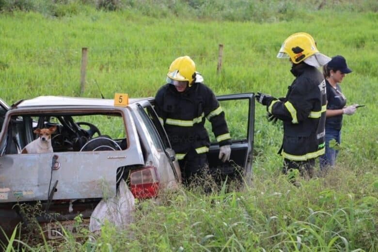 Cabeleireiro de Nova Mutum morre em acidente na MT-249