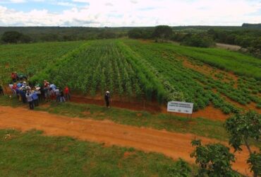 Estratégias agroecológicas garantem produção de alimentos saudáveis e resistência às adversidades climáticas -