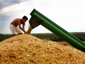 O milho foi o produto mais exportado pelos novos mercados.  - Foto por: Assessoria Sedec-MT