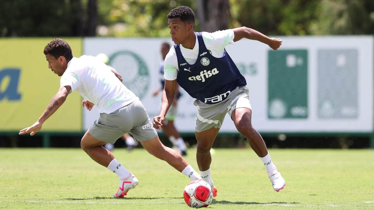 Palmeiras x Ponte Preta ao vivo; onde assistir, horário e escalações do jogo deste sábado (16) pelo Paulistão. Foto: Cesar Greco/Ag. Palmeiras