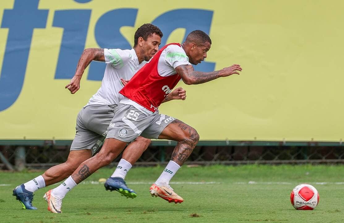 Palmeiras x Mirassol ao vivo; onde assistir, horário e escalações do jogo deste sábado (24) pelo Paulistão. Foto: Fábio Menotti/Ag. Palmeiras