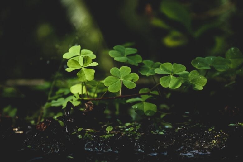 Números azuis voam fora de mãos, numerologia - Fotos do Canva