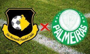 Onde assistir São Bernardo x Palmeiras