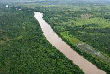 Projetos de preservacao em reserva ambiental recebem investimento do Ministerio Publico de Mato Grosso -CenárioMT