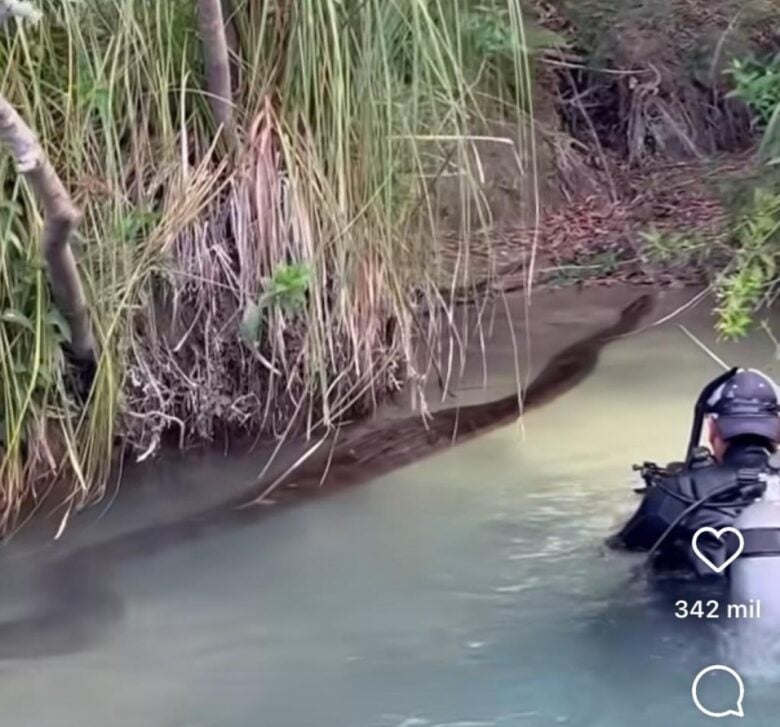 Fotógrafo registra momento impressionante da cobra deslizando pelas águas cristalinas do rio Formosa em Bonito, Mato Grosso do Sul