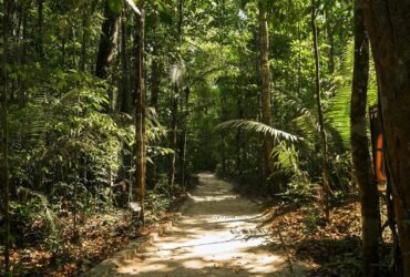 Amazônia brasileira e sustentabilidade no turismo são destaques no jornal norte-americano The Wall Street Journal - Foto: Divulgação