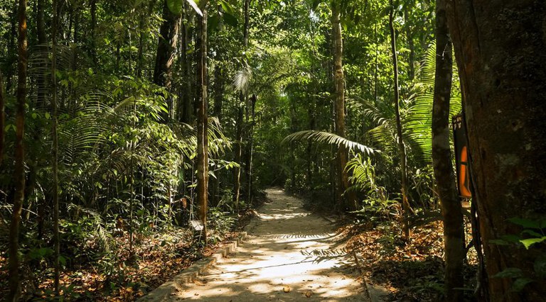 Amazônia brasileira e sustentabilidade no turismo são destaques no jornal norte-americano The Wall Street Journal - Foto: Divulgação