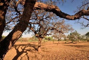 ANA lança estudo sobre impactos da mudança climática em quatro regiões do Brasil - Foto: Arquivo/Agência Brasil