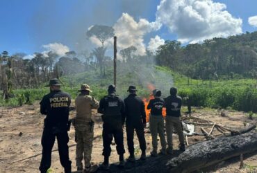 PF deflagra operação contra crimes ambientais em reserva extrativista de Rondônia - Foto: Divulgação