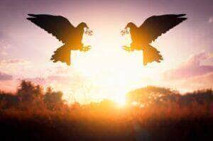 Dia de paz e novas esperanças, foto de duas pombas da paz