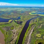 Senado aprova criação do Estatuto do Pantanal para proteção do bioma e desenvolvimento sustentável