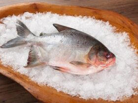 Pesquisa do IFMT revela potencial nutricional dos peixes de água doce de Mato Grosso