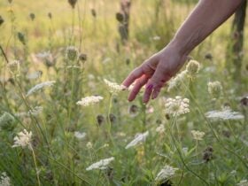 Previsões para o Horóscopo para amanhã - Fotos do Canva