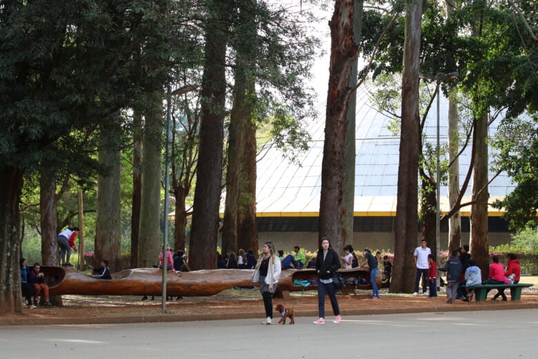 Parque do Ibirapuera completa 65 anos. Por: Rovena Rosa/Agência Brasil