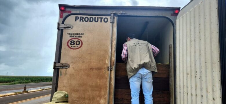 Indea intensifica fiscalização do transporte de pescado em rodovias estaduais_6604604f065e3.jpeg