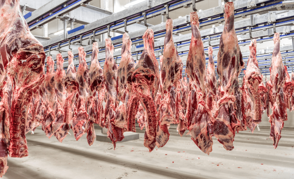 Mais 38 frigoríficos brasileiros podem exportar carnes para a China