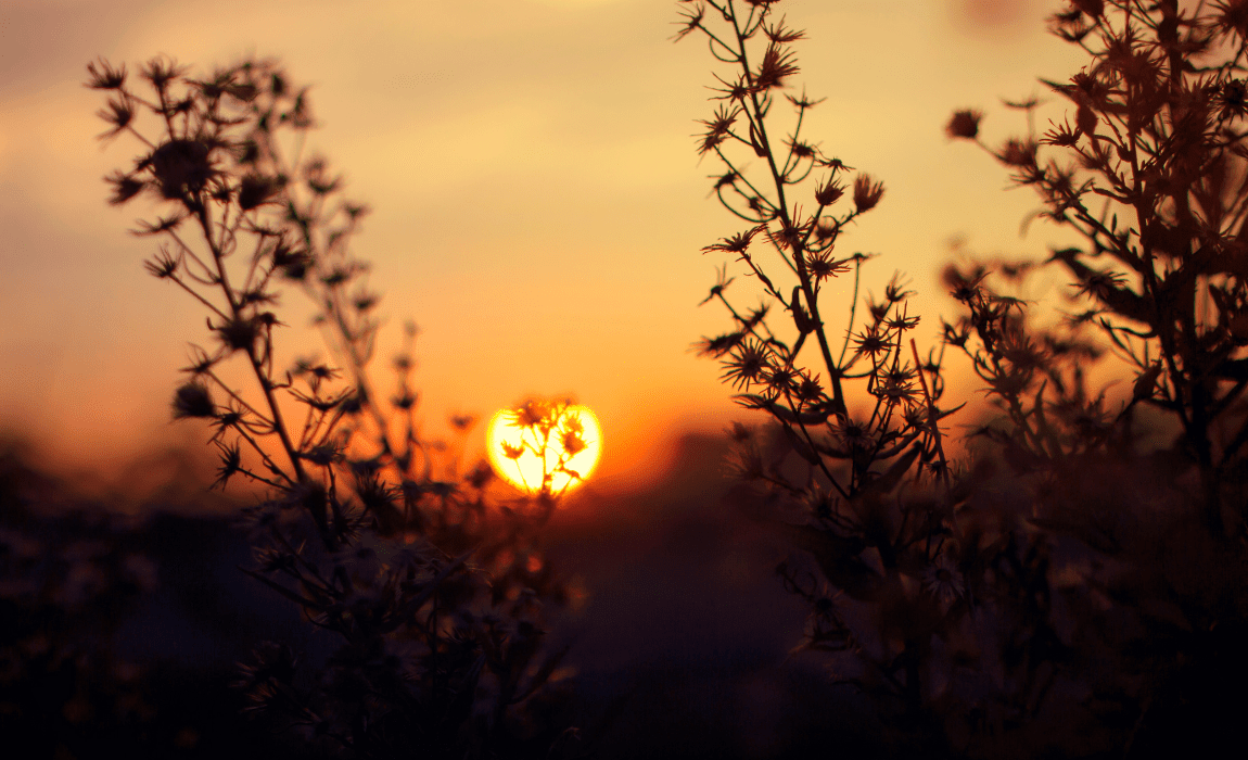 Confira a previsão do tempo de hoje