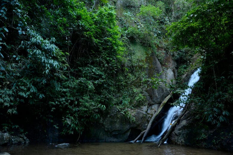 Cachoeira do Horto no percurso de trilhas dentro da mata atlântica na Floresta da Tijuca, no Rio de Janeiro Por: Tomaz Silva/Agência Brasil