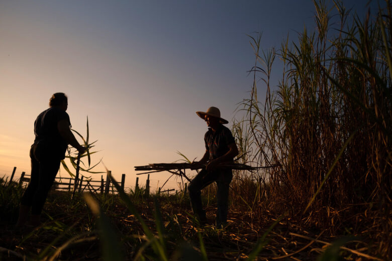 Conflitos de terra afetaram mais de 20 mil pessoas em Mato Grosso em 2023