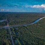 10/08/2023, Ambientalistas denunciam desmatamento às margens de rodovia amazônica. Foto: Orlando K Júnior