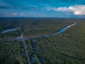 10/08/2023, Ambientalistas denunciam desmatamento às margens de rodovia amazônica. Foto: Orlando K Júnior