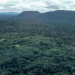 Funai deve apresentar plano para proteger terras indígenas em Mato Grosso e outros estados