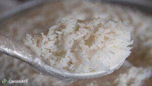 Arroz japonês