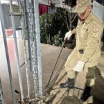Bombeiros de Mato Grosso capturam cobra surucucu que estava em portão de residência