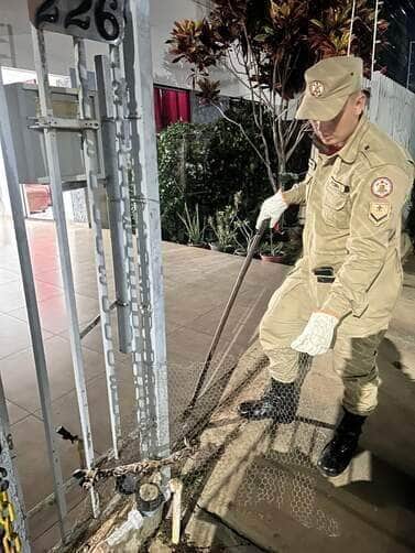 Bombeiros de Mato Grosso capturam cobra surucucu que estava em portão de residência